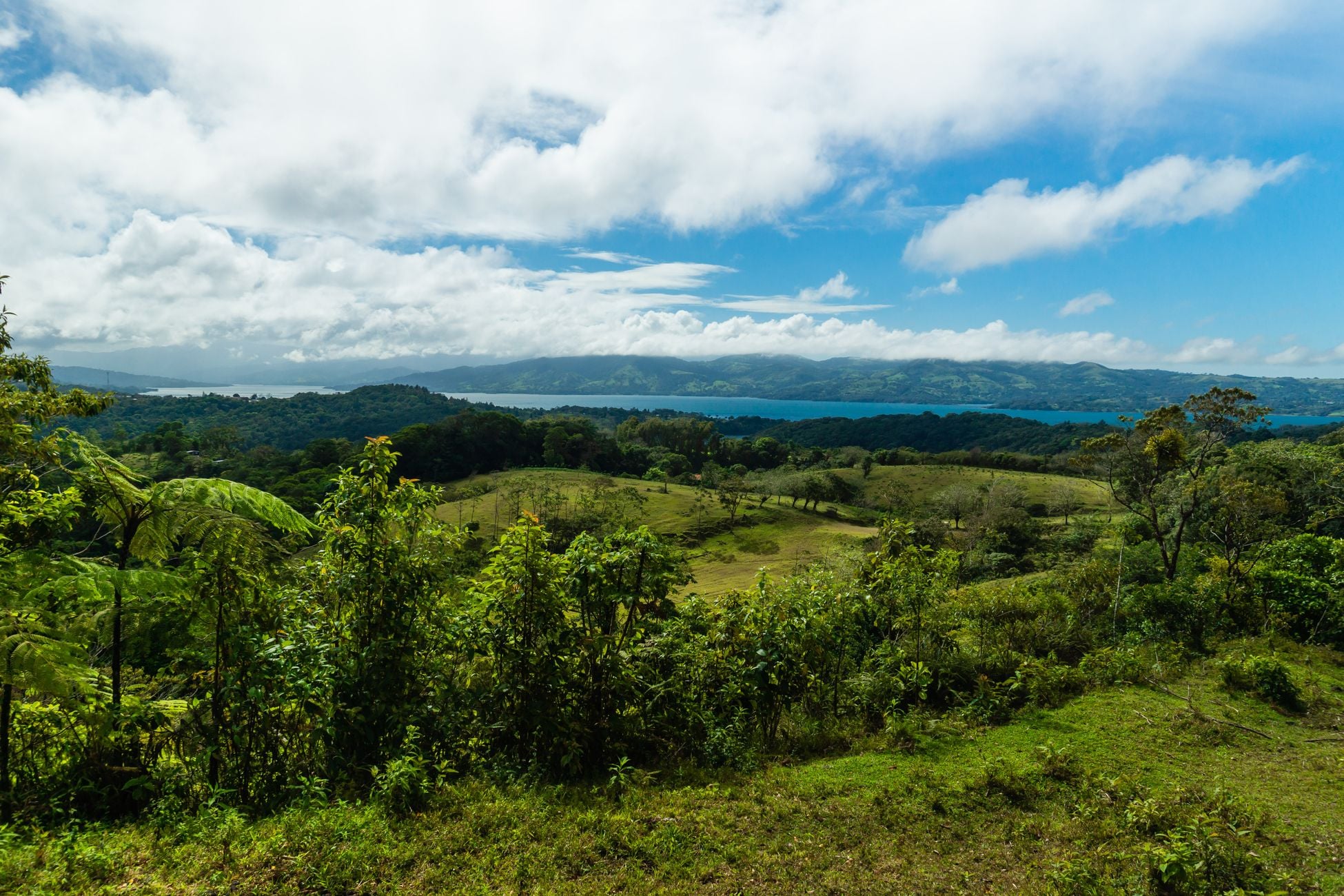 Costa Rica reversed its forest collapse by paying landowners to keep trees standing — more than 18,000 families signed contracts funded by a national fuel tax