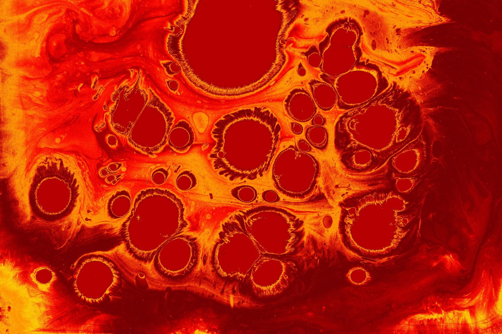 Mitophagy is the cellular housekeeping that dismantles broken mitochondria — it changes with age, and researchers now see that faltering maintenance as one of aging’s deeper biological engines