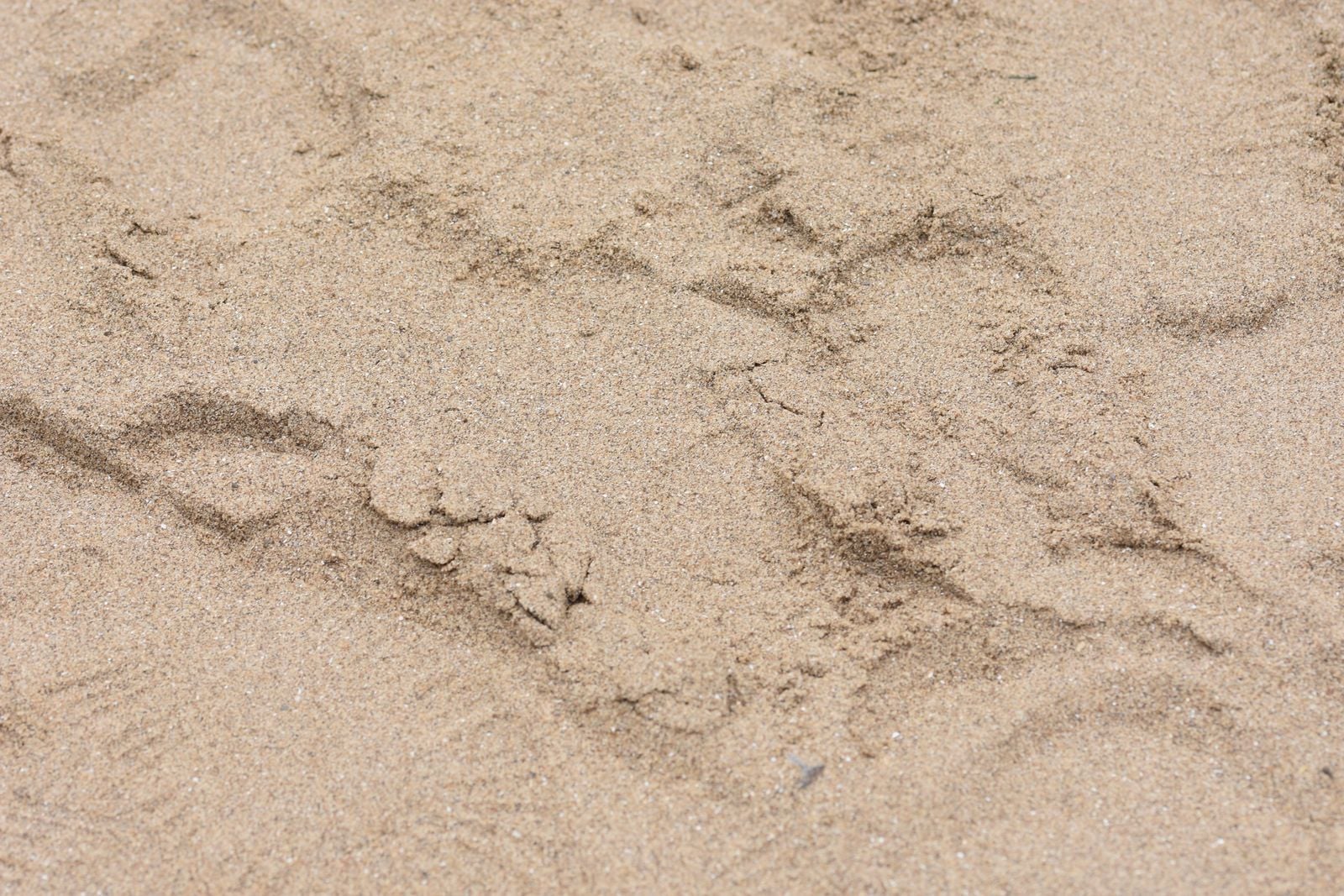 lunar footprint dust
