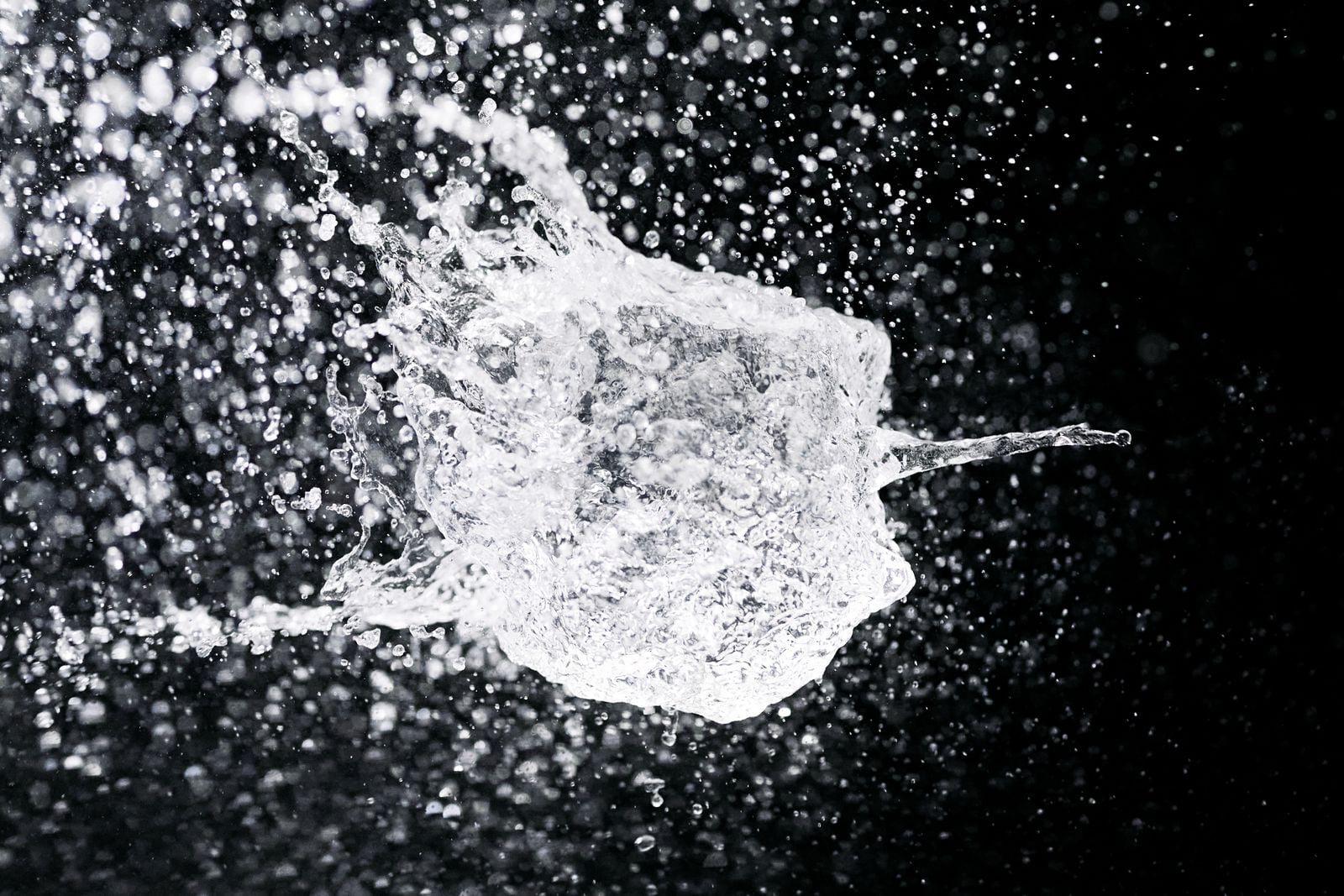 microplastic particles microscope