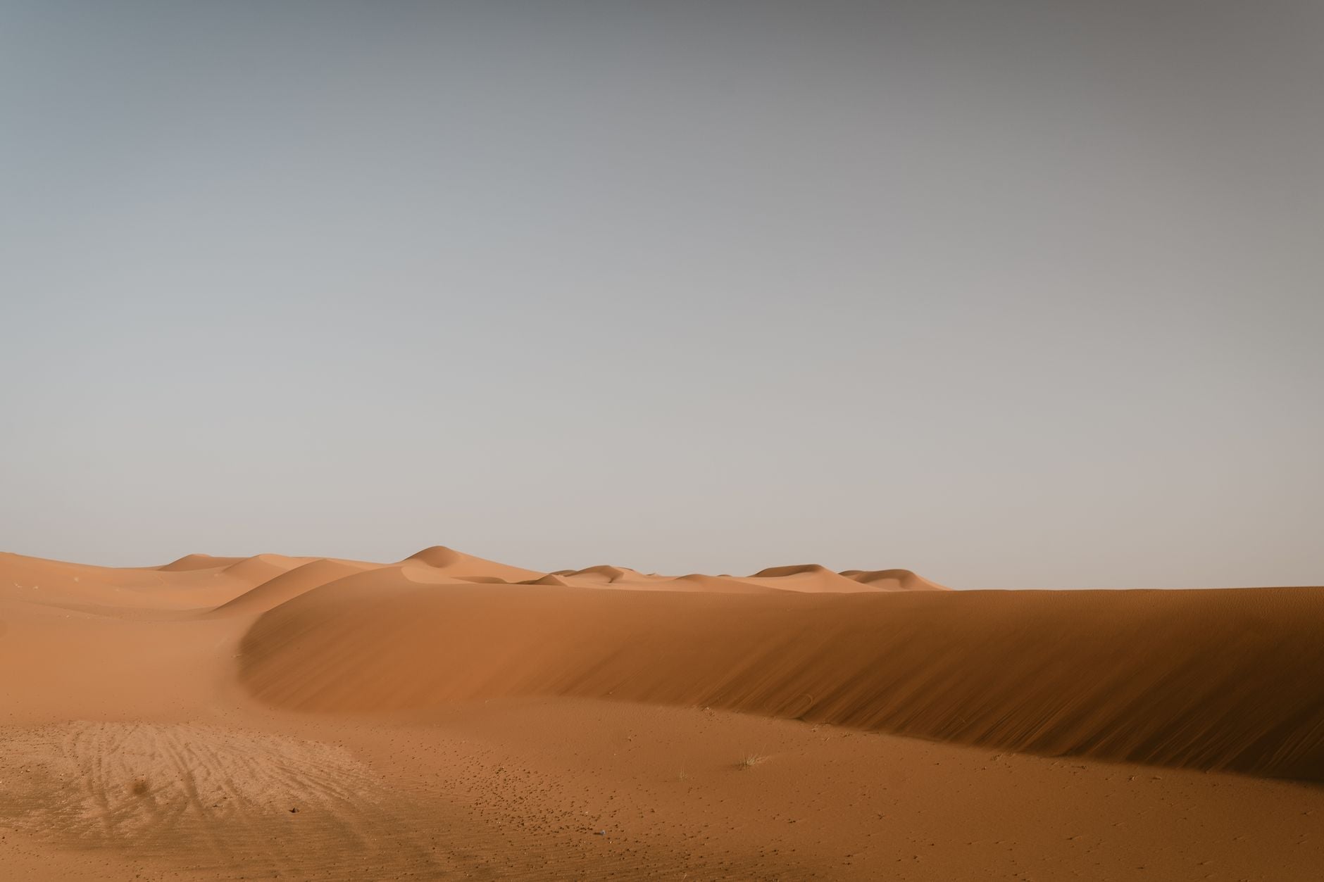 The Sahara turns green roughly every 20,000 years, and the last time it did, hippos and crocodiles lived in lakes where there is now only sand