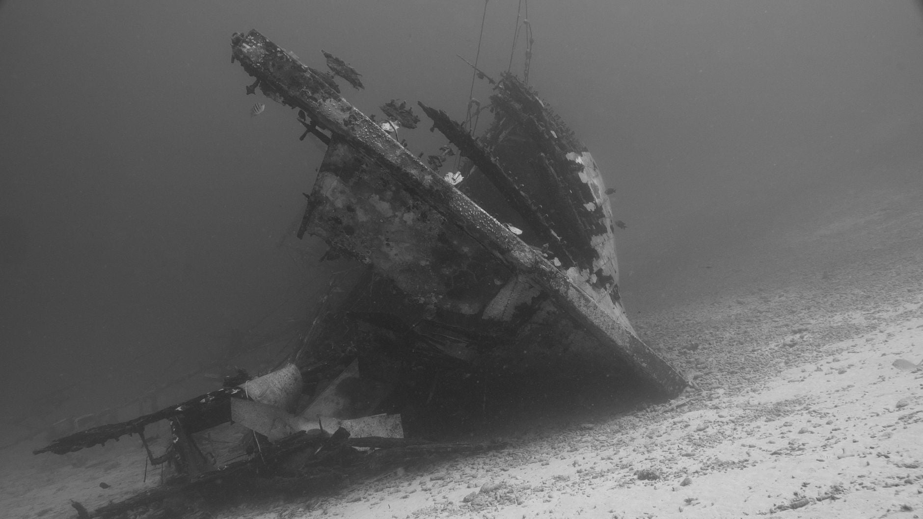 Almost every sensitive radiation detector built since 1945 relies on steel salvaged from ships that sank before the first nuclear test, because everything smelted after that date carries a faint trace of the bomb era in its structure, and the supply of pre-war wrecks is finite.