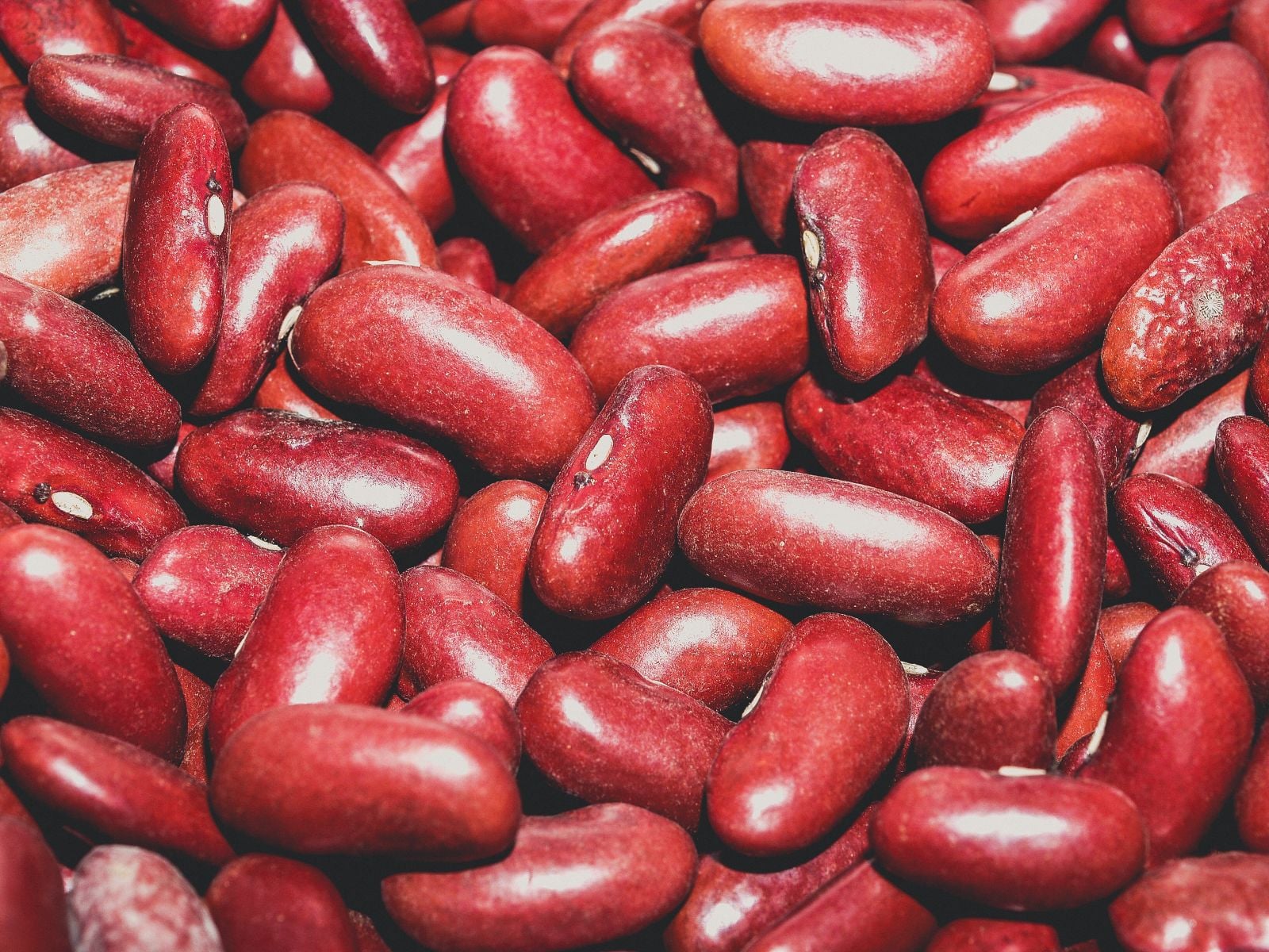 As few as four or five raw or undercooked red kidney beans can trigger severe vomiting and diarrhoea — and the safest preparation is soaking them, then giving them a 30-minute rolling boil