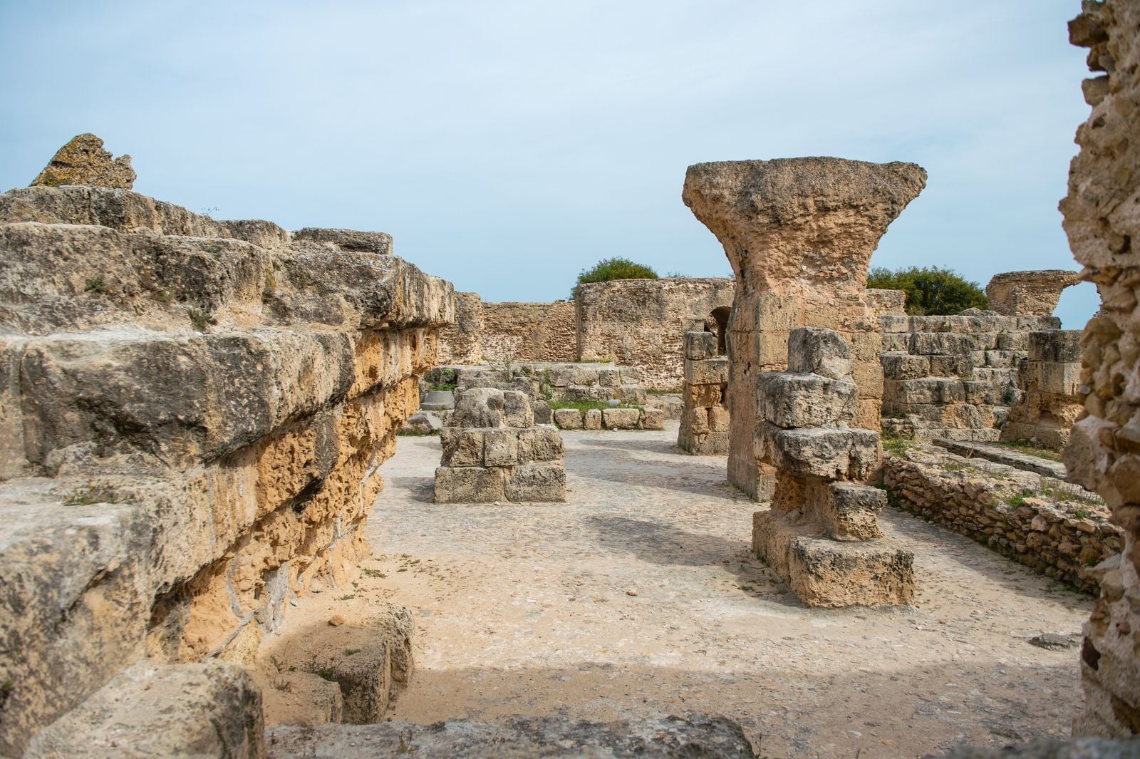 Roman concrete piers built along the Mediterranean coast 2,000 years ago are still standing, and the reason is that seawater seeping into the mix triggers a chemical reaction that grows crystals of aluminous tobermorite, making the walls stronger every century while modern concrete crumbles in decades