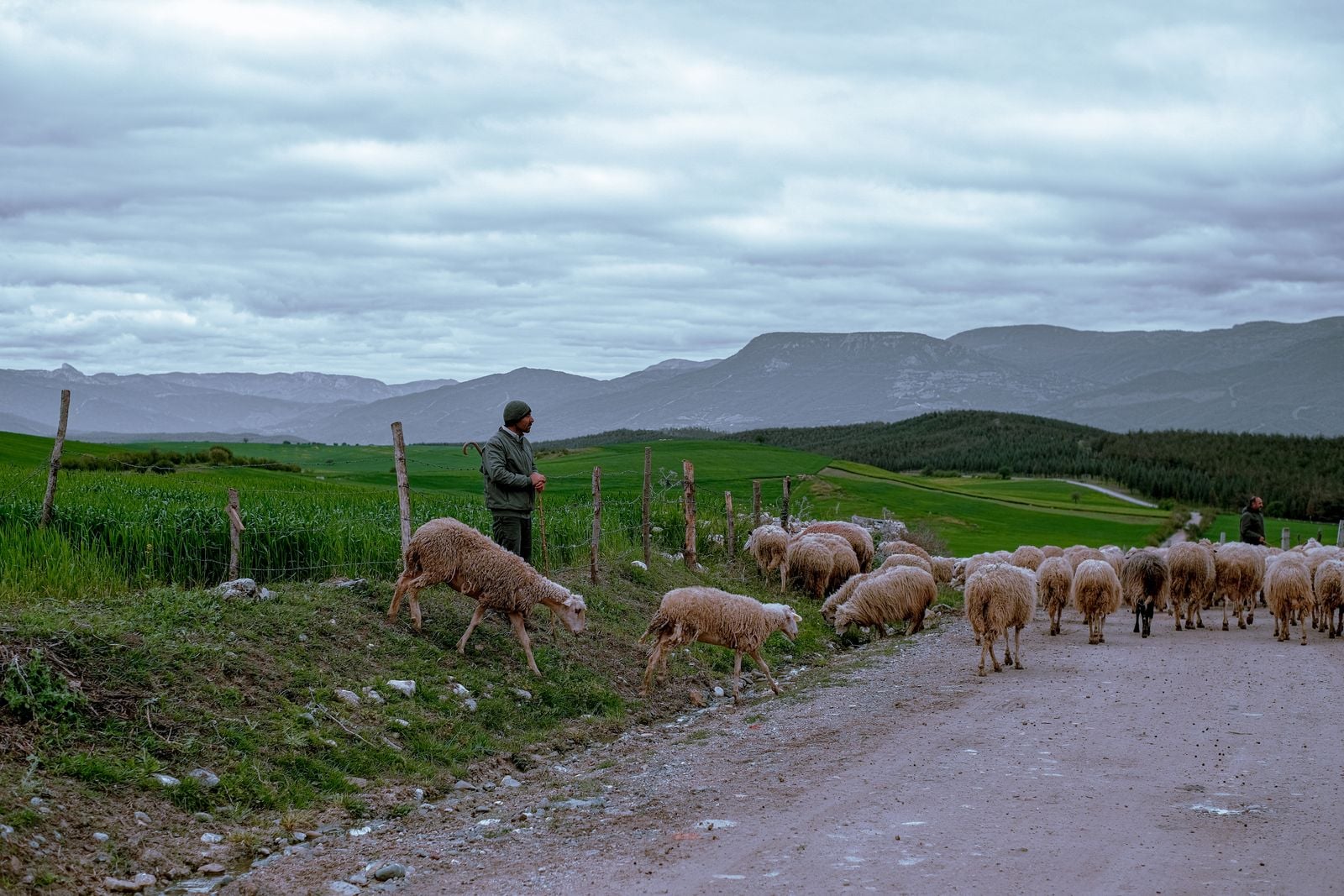 Sardinian shepherd mountain village