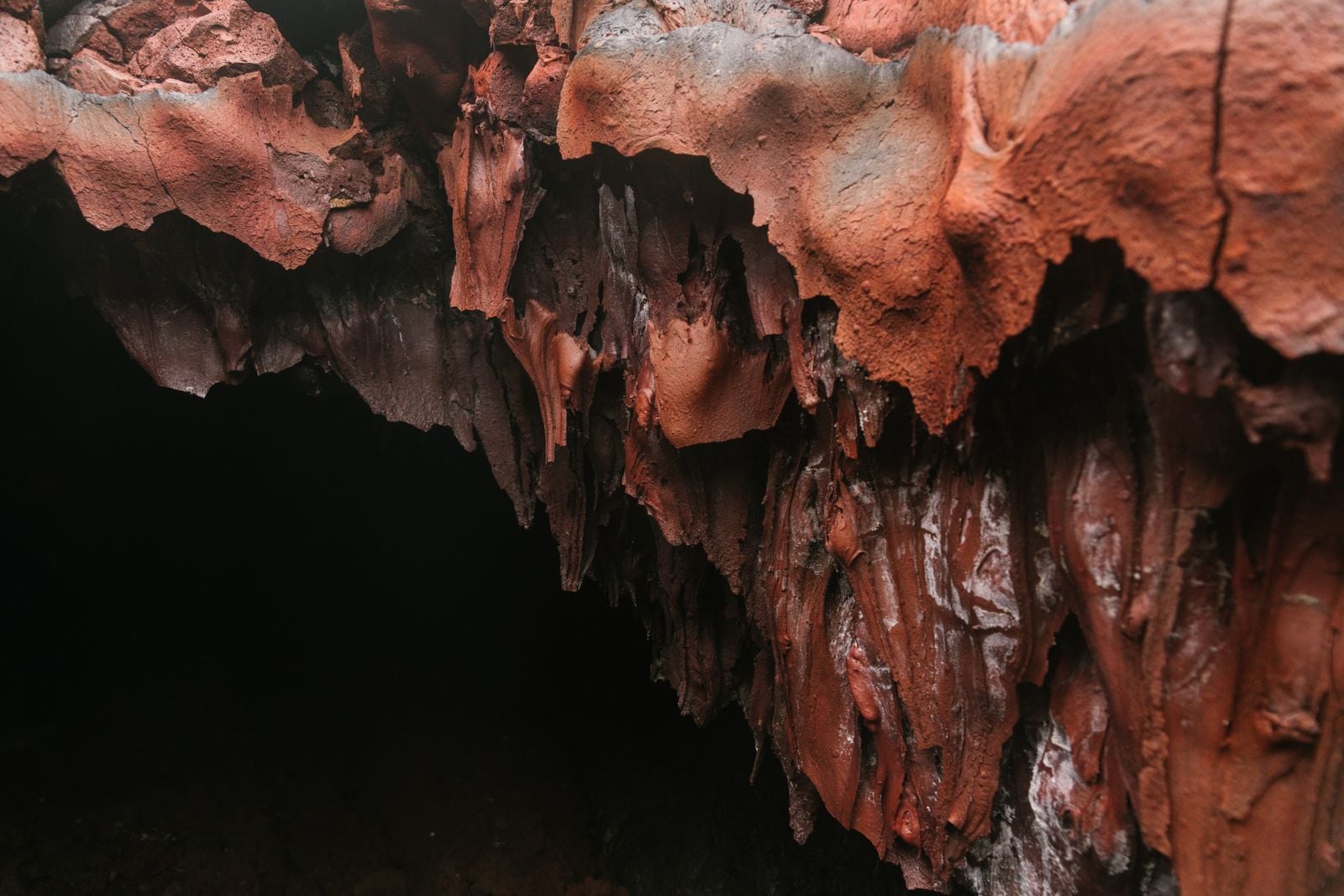 sulfidic cave bacterial mat
