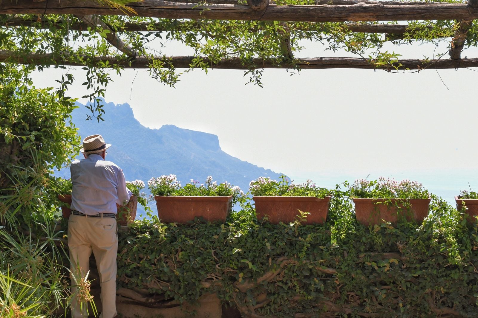 The five Blue Zones share almost no genetics, no cuisine, and no religion — but every one of them walks, gardens, or farms into the ninth decade of life