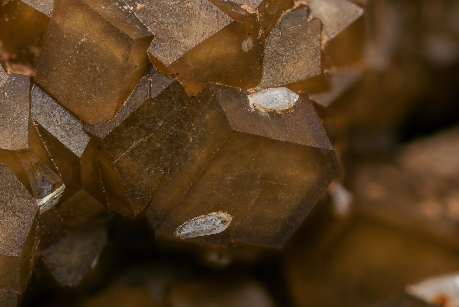 tobermorite crystal microscope