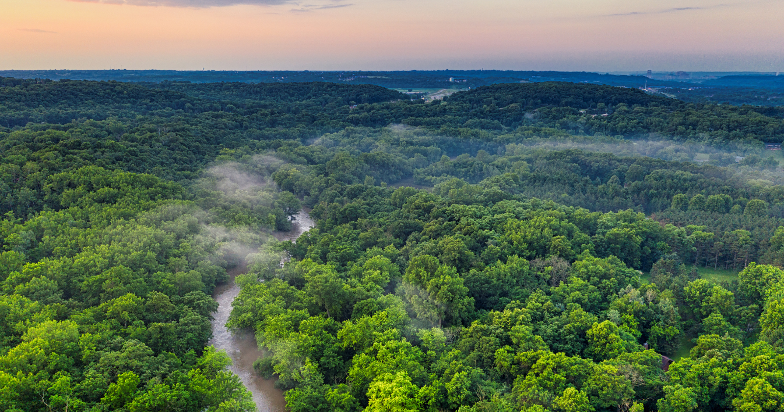 The trees of the Amazon pump such staggering amounts of moisture into the air that they create invisible rivers in the sky, and those rivers travel thousands of kilometres to water farmland in countries far from the forest itself