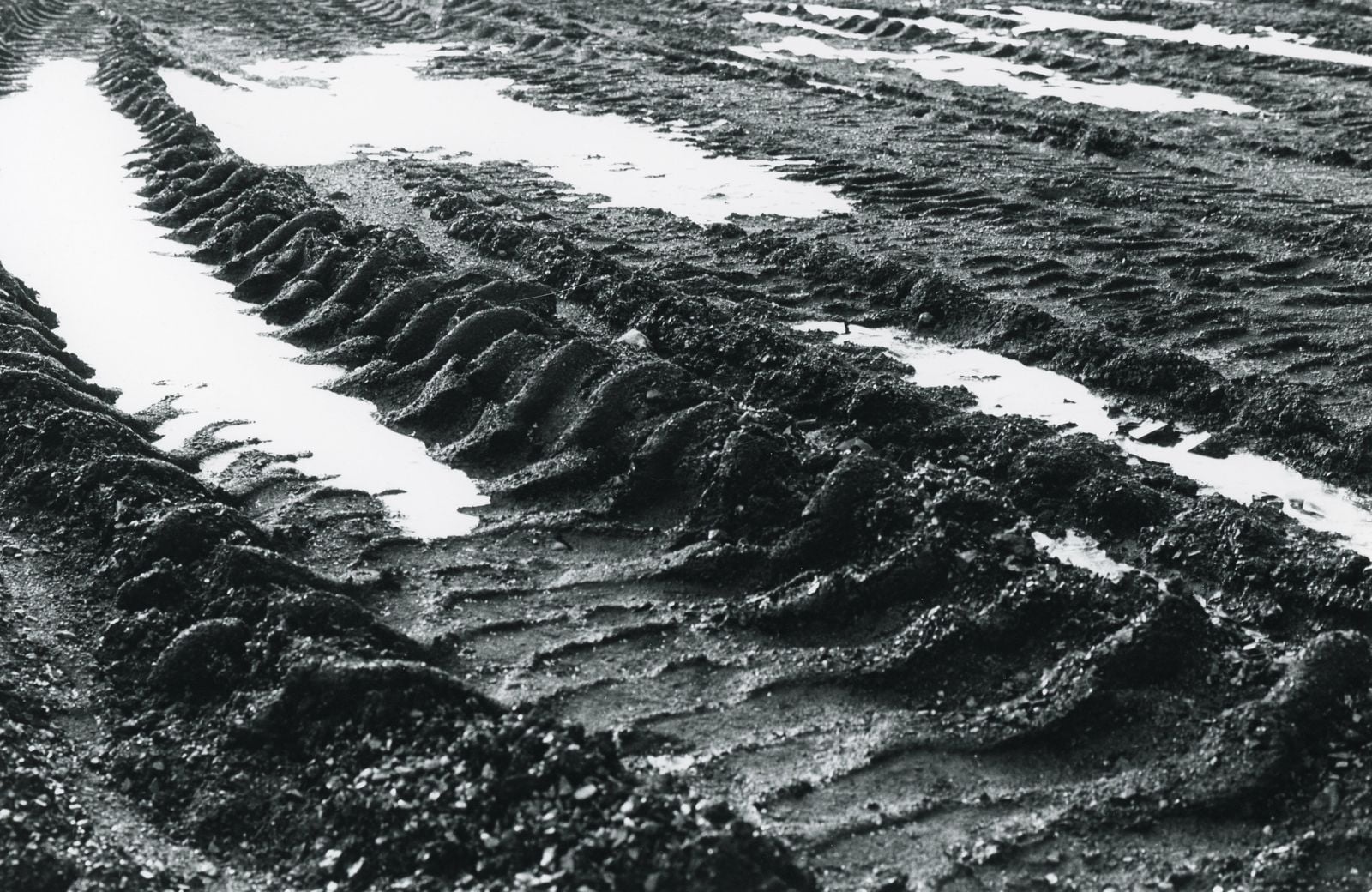 waterlogged wetland soil