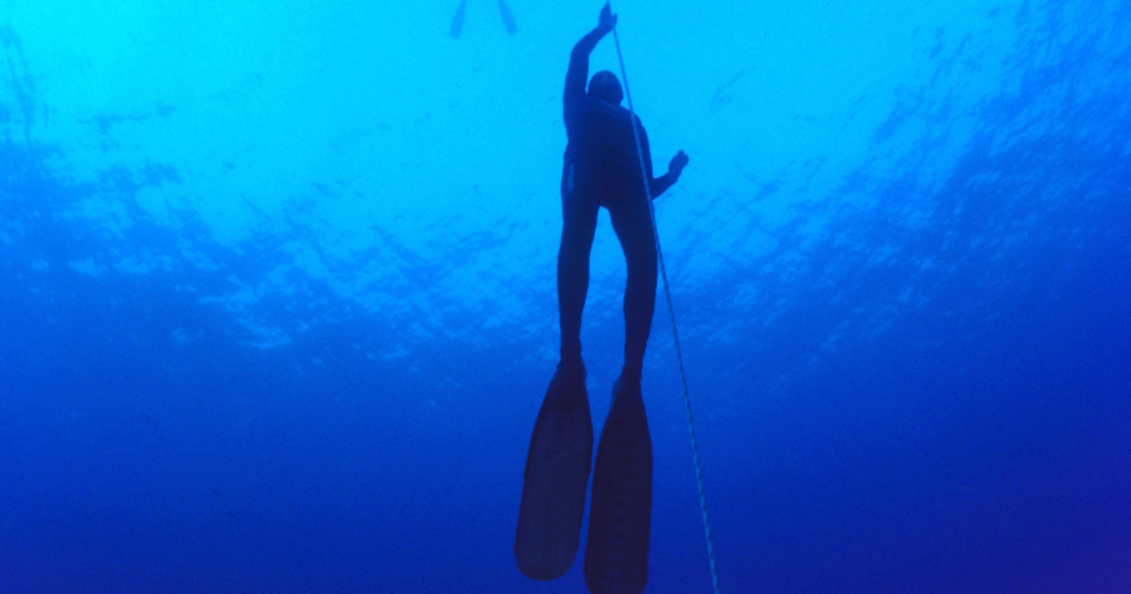 Most people can hold their breath underwater for a minute or two, but a people called the Bajau can spend up to five hours a day underwater, diving to depths that would unnerve a scuba diver — and scientists have traced the ability to a change written into their very DNA