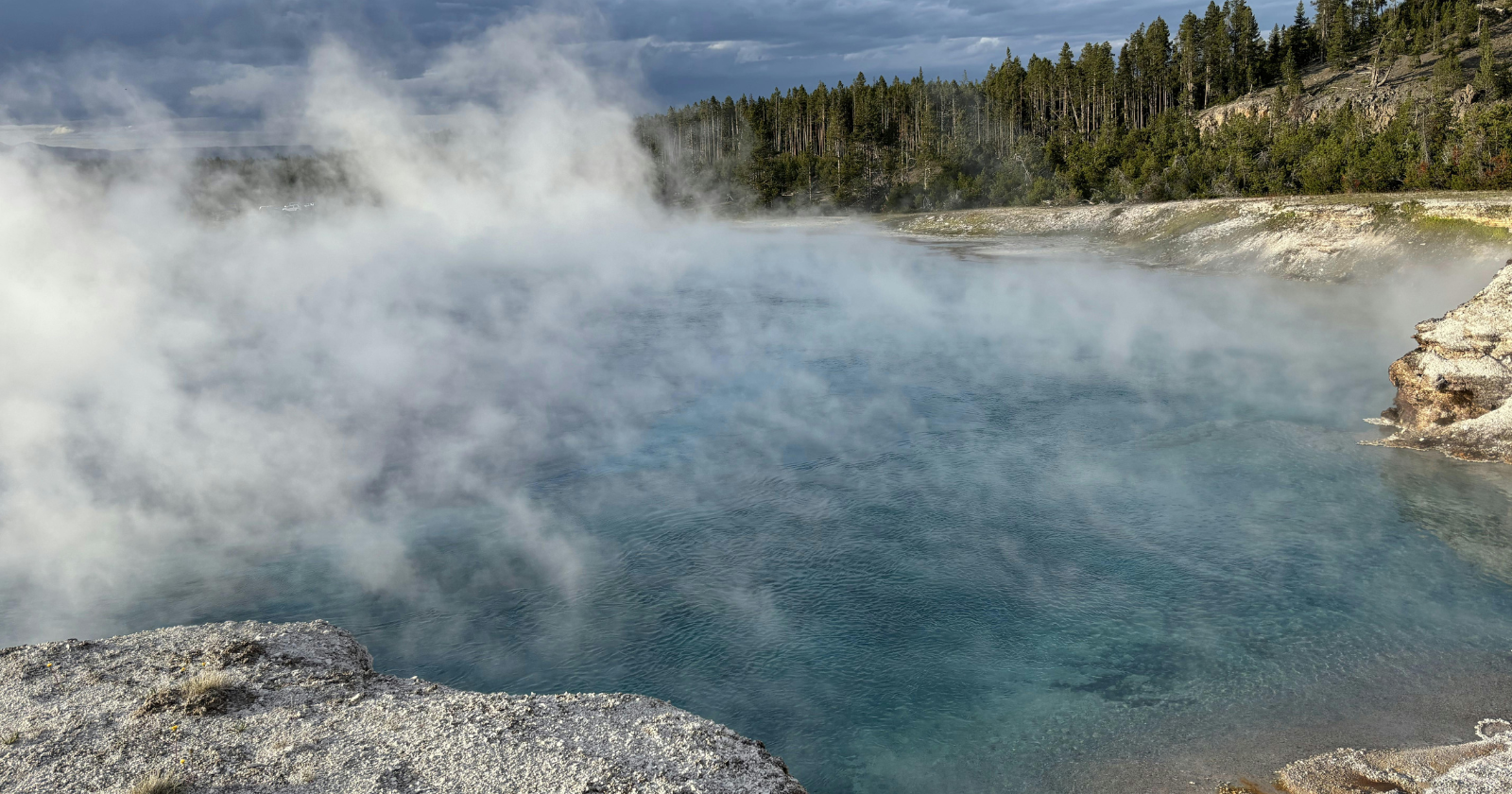 A microbe scooped from a Yellowstone hot spring in the 1960s quietly changed the world — the heat-proof enzyme inside it made modern DNA testing possible, which means most DNA evidence in criminal cases and nearly every genetic test in use today traces back to a bug that lives in near-boiling water