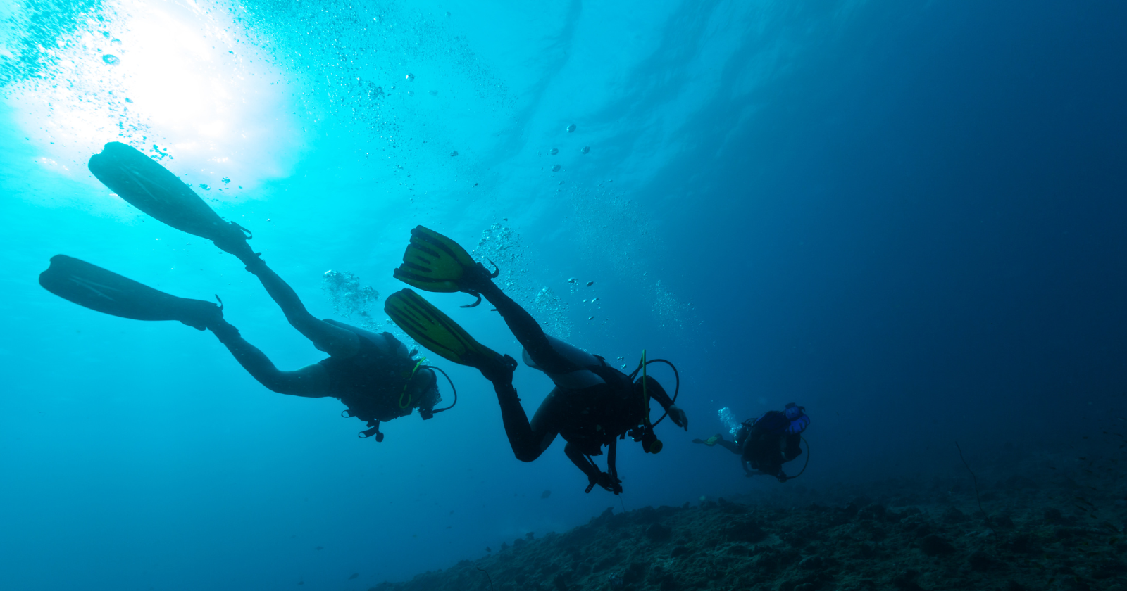 On a South Korean island, most of the professional divers who free-dive twenty meters into the sea on a single breath are grandmothers — some in their 80s and 90s, still working the ocean floor for hours a day, in a tradition once passed only to daughters