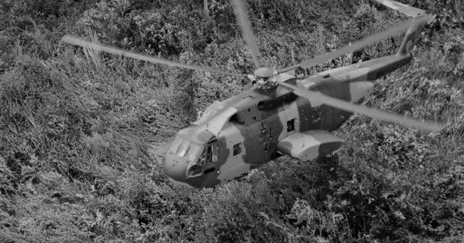 The Red Cross estimates that roughly three million Vietnamese people have been affected by Agent Orange's dioxin contamination, including more than 150,000 children born with serious birth defects, some in families who had no direct exposure to the chemical themselves