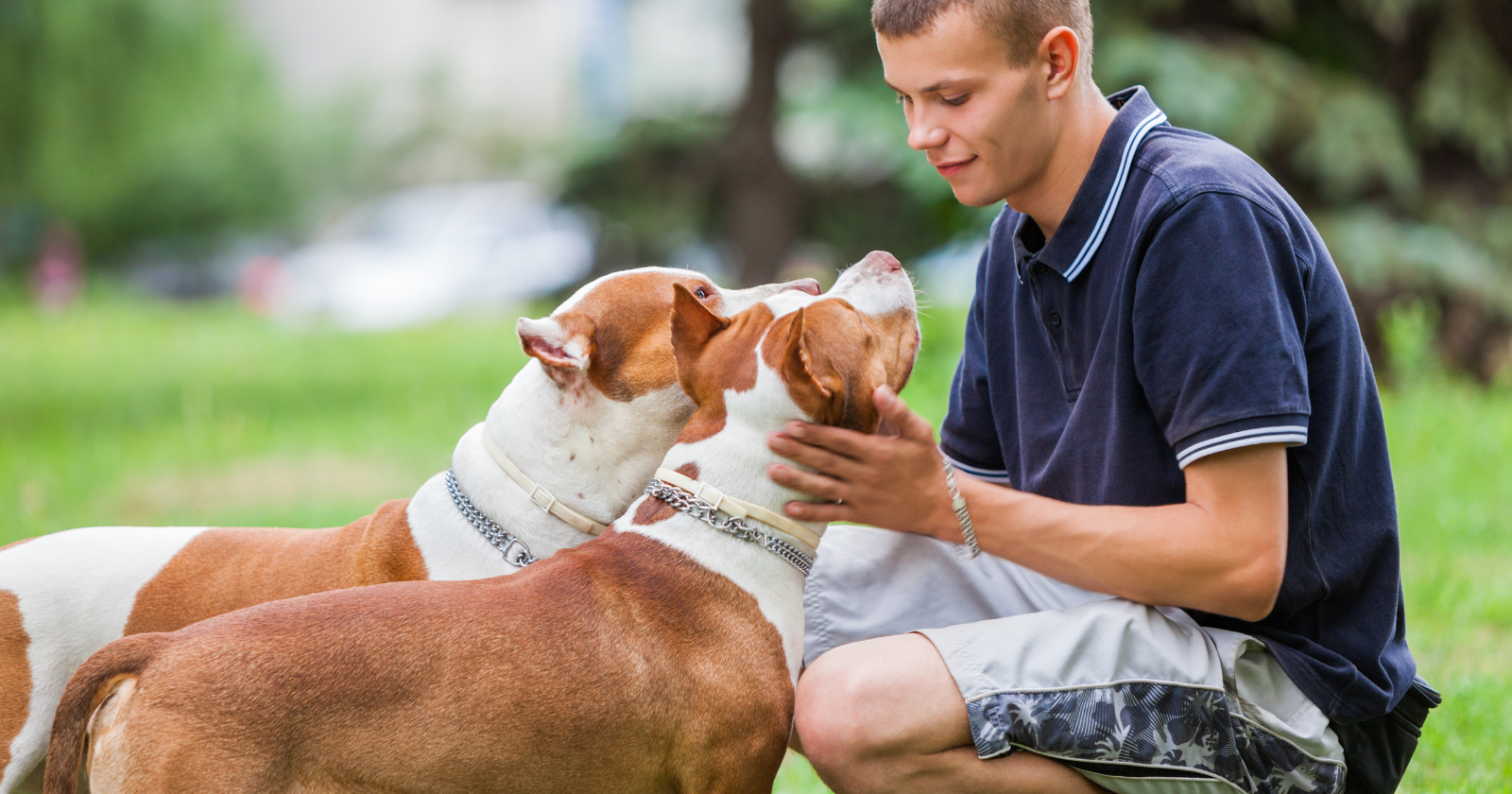 When you lock eyes with your dog, something happens in both your bodies: a real oxytocin rise, the same hormone that binds a parent to an infant — though how far that parallel holds is still being argued