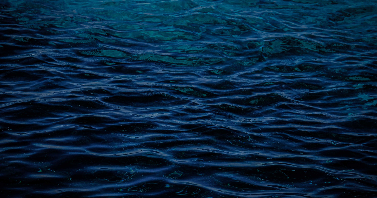 Nearly seven miles beneath the surface of the Pacific Ocean lies a place so hostile that only a handful of human beings in all of history have ever seen it — total darkness, near-freezing water, and pressure equivalent to a jet's weight bearing down on a single postage stamp