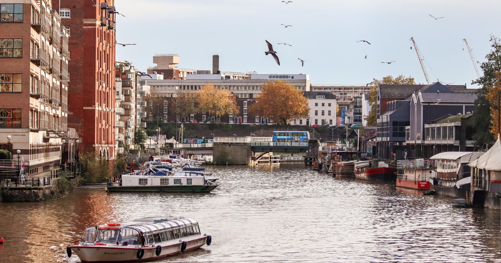 Hundreds of people wrote to a Bristol newspaper in the 1970s about a hum they could feel more than hear — a warehouse fan was blamed, the warehouse closed, the reports continued, and fifty years later the same complaint has been filed across continents by people who have never met