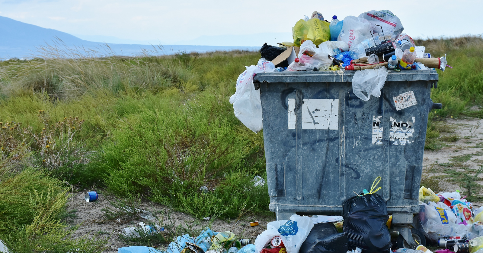 Sweden imported nearly three million tonnes of other countries' garbage in a single year — and got paid to take it, at roughly 373 krona a tonne, because burning it produces heat for over a million homes