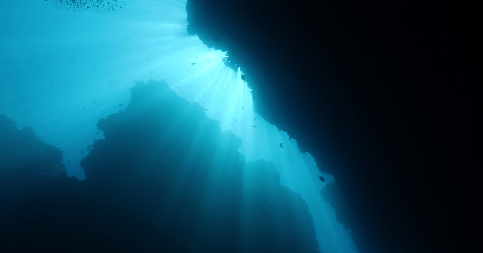 The US Navy once sent aquanauts to live on the ocean floor for weeks, hoping SEALAB would prove humans could colonise the deep. Instead, one diver died, the program collapsed, and the underwater future quietly disappeared