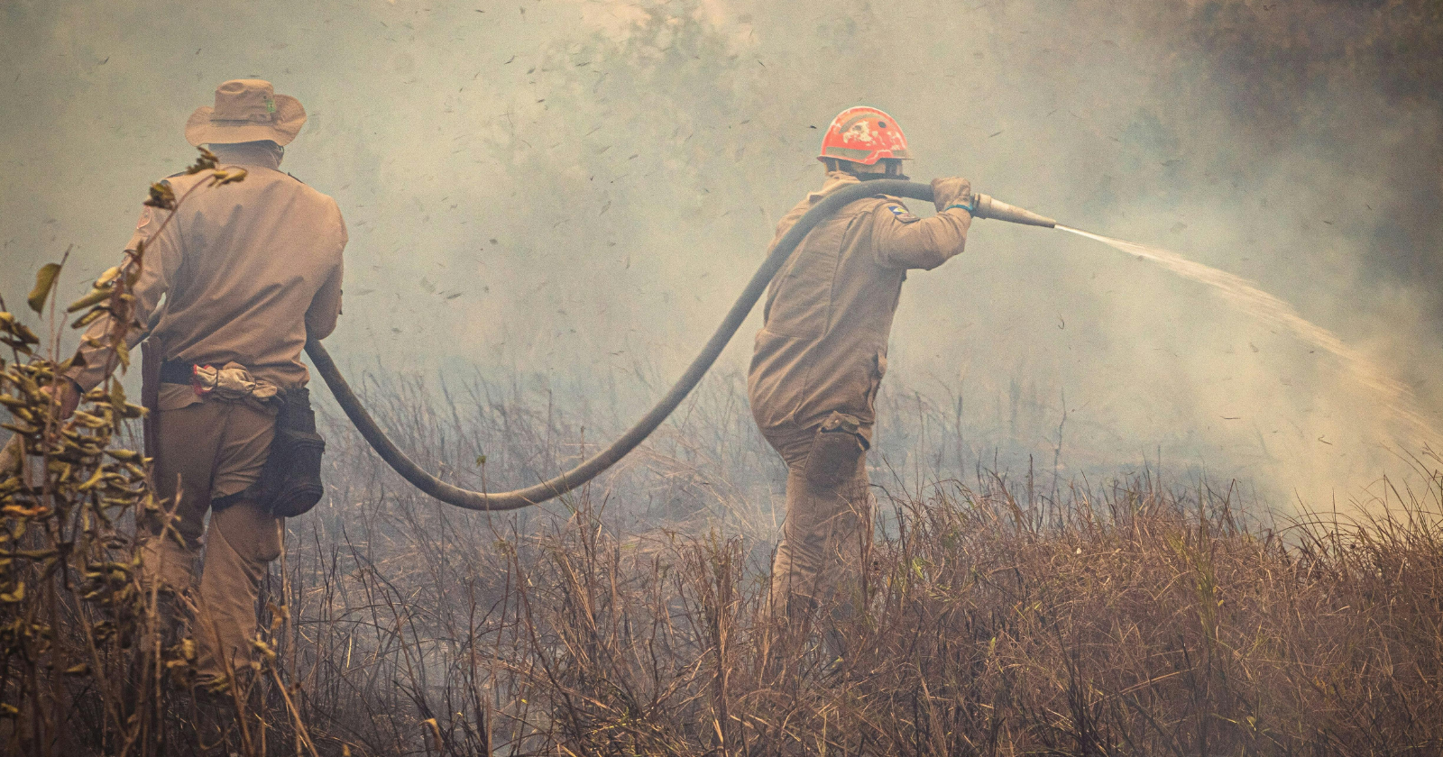 Wildfires in Siberia's Krasnoyarsk region nearly quadrupled in four days, from 16,700 hectares to 62,600, and officials say a moth infestation is the reason the forest burned so easily