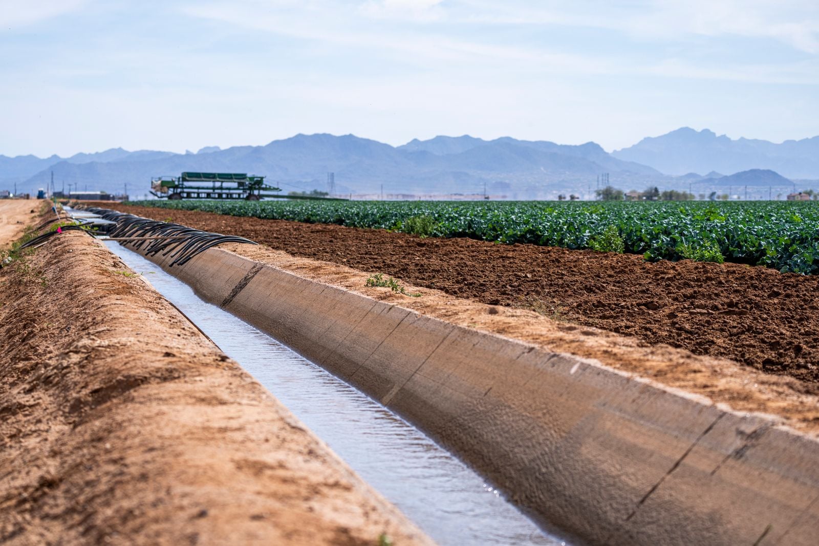 A cotton T-shirt takes roughly 2,700 litres of water to produce, about what one person drinks in two and a half years, and most of that water is pulled from irrigation-stressed river basins in Central and South Asia thousands of kilometres from where the shirt is eventually sold