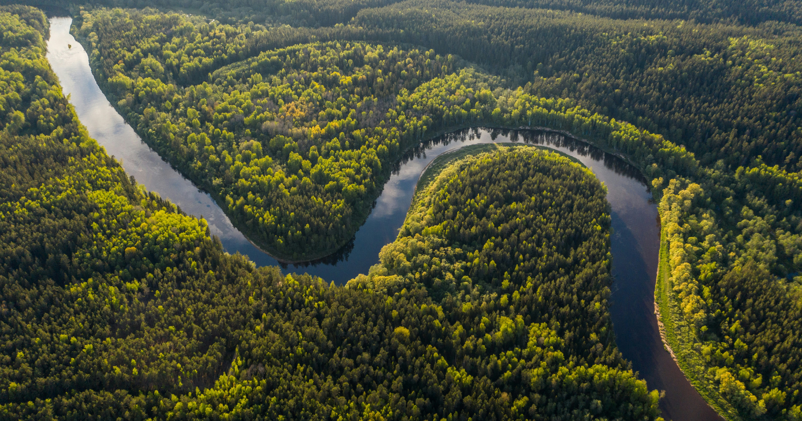 Deep in the Amazon, one community describes the world without the familiar language of clocks, calendars, or numerical time — challenging assumptions about how humans experience the passage of life.