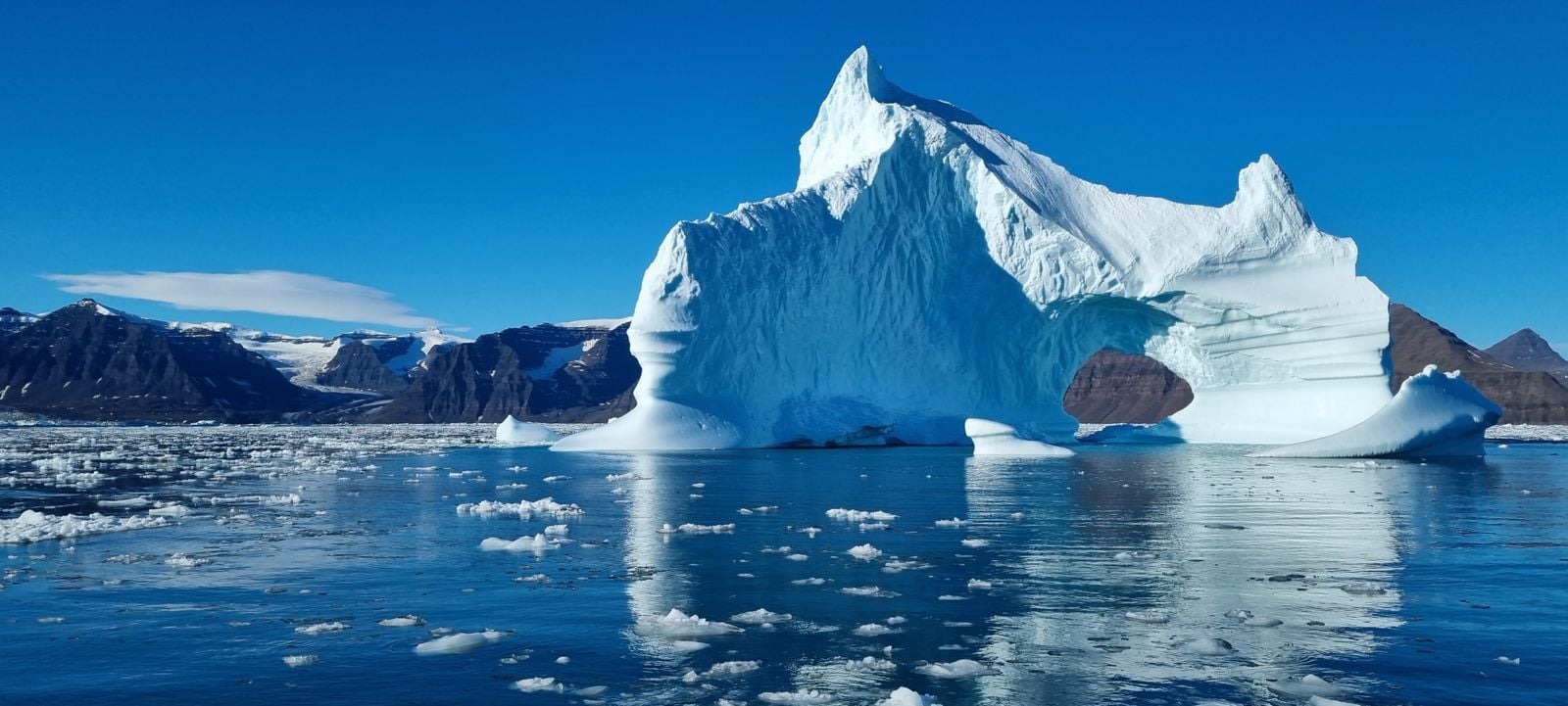 Arctic sea ice