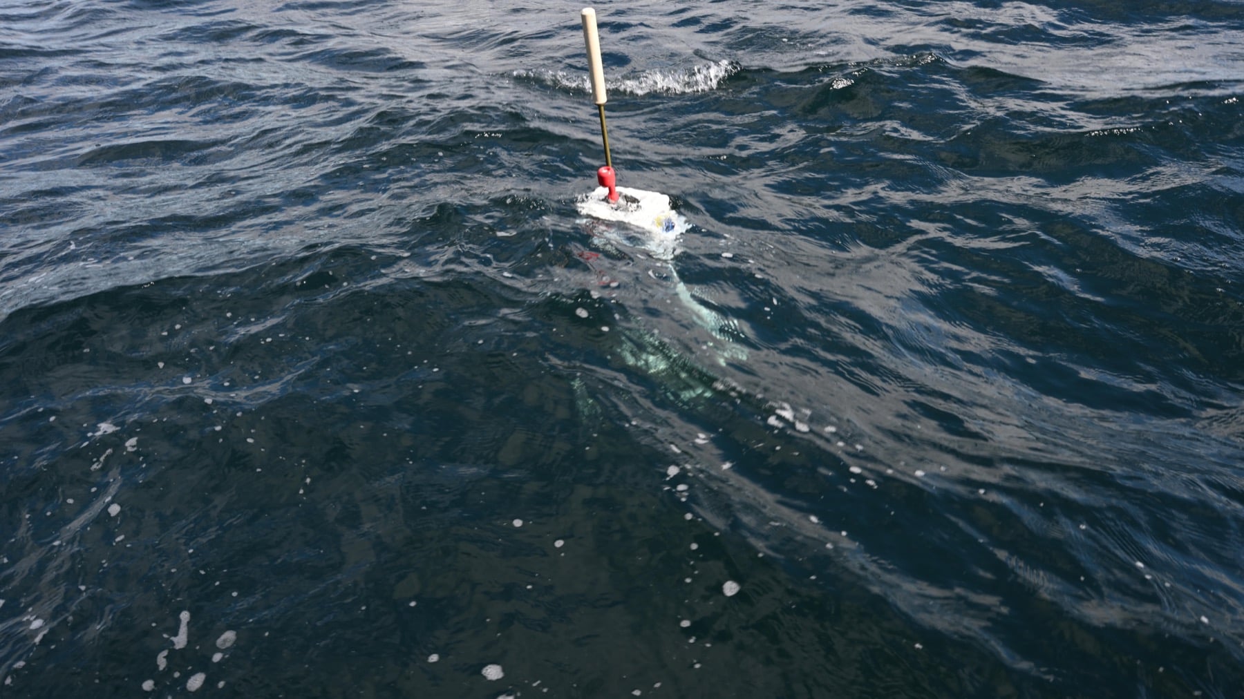 The upper 2,000 metres of the ocean gained an estimated 23 zettajoules of heat in 2025—roughly 39 times all the energy humanity uses in a year—driving ocean heat content to a record for the ninth consecutive year, the longest unbroken streak ever measured.