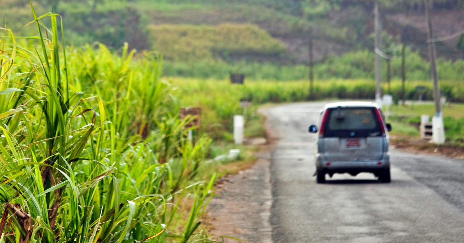 Brazil answered the oil shocks of the 1970s by running its cars on sugarcane alcohol, and by the mid-1980s almost every new car sold there ran on it — then the ethanol-only market collapsed