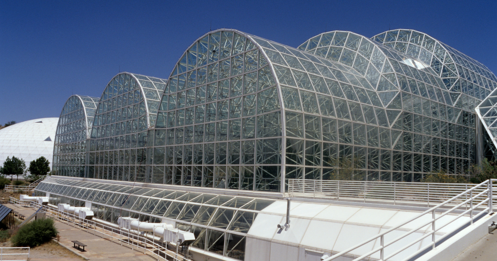 Biosphere 2 was built to test whether eight people could survive completely sealed off from the rest of Earth for two years — but inside its glass walls, cockroaches and stowaway ants boomed while most of the birds and pollinators died.