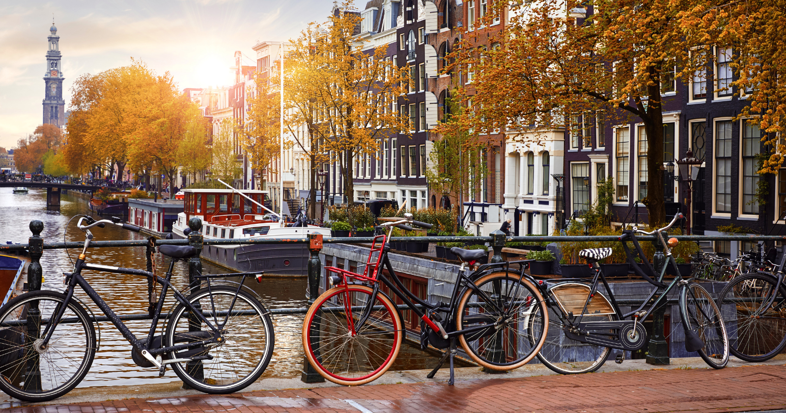 There are around 18 million people in the Netherlands — and rather more bicycles than that. The latest estimate puts the tally at 24.4 million, about 1.34 for every person, after a gap that has widened sharply since 2010