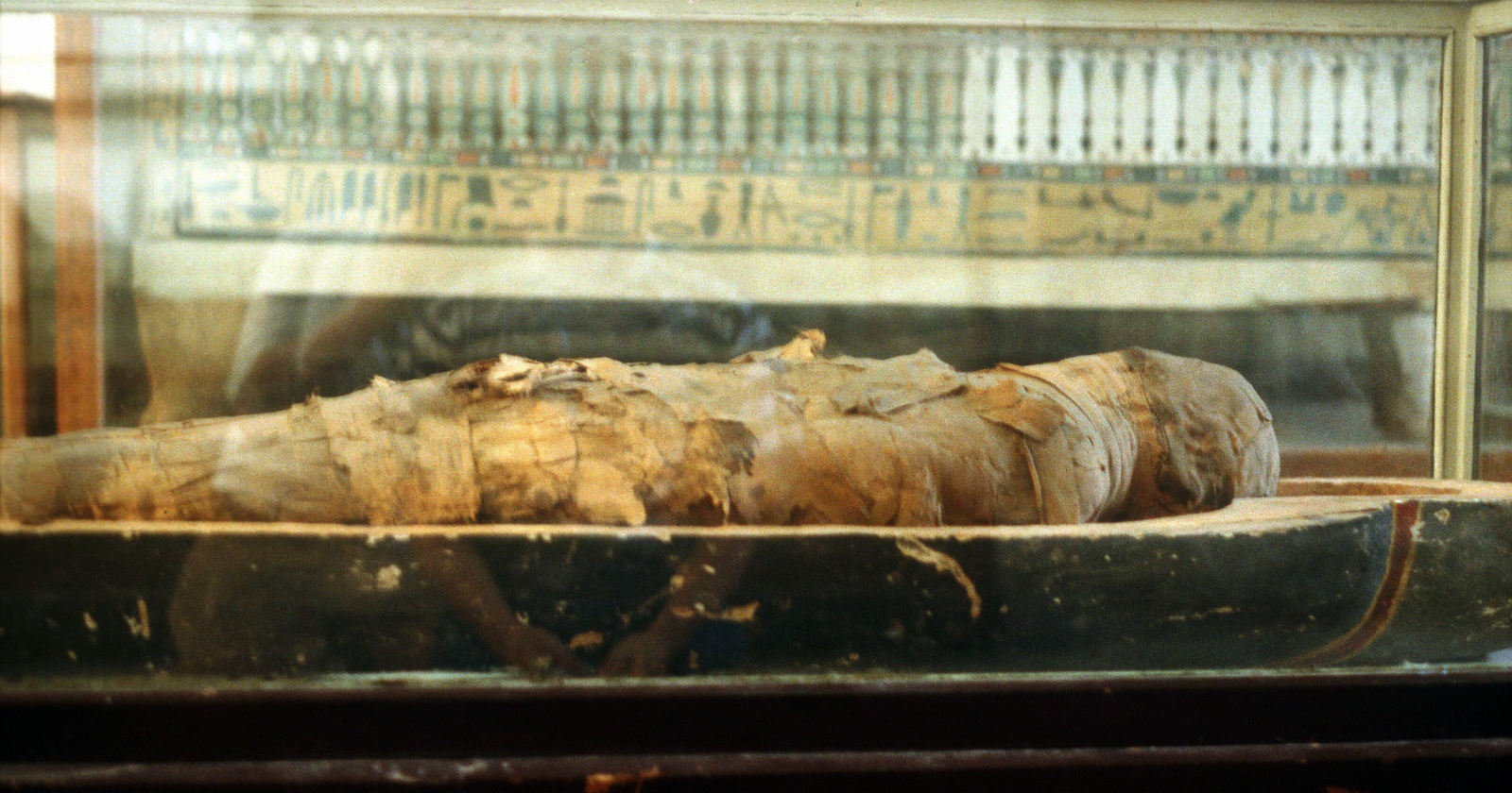 Archaeologists examining a 1,600-year-old Egyptian mummy found something no one had ever seen before: a page of Homer's Iliad, used as embalming material — meaning one of the most famous poems in human history spent sixteen centuries wrapped around a body, doing a job no librarian could have imagined