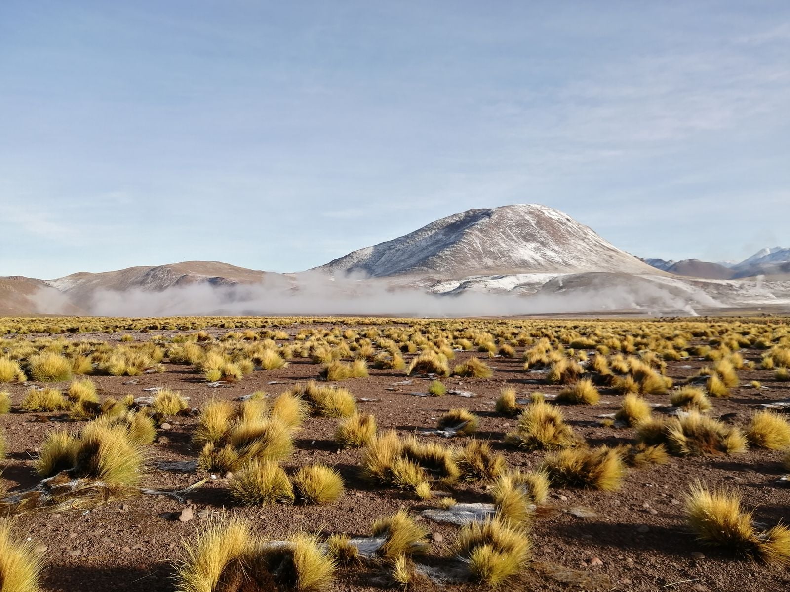 In the Atacama Desert of Chile, there are weather stations that have never recorded a single drop of rain in more than a century of operation, and yet a fog rolling in from the Pacific twice a week feeds lichens, cacti, and a fishing village that has drunk nothing else for 300 years
