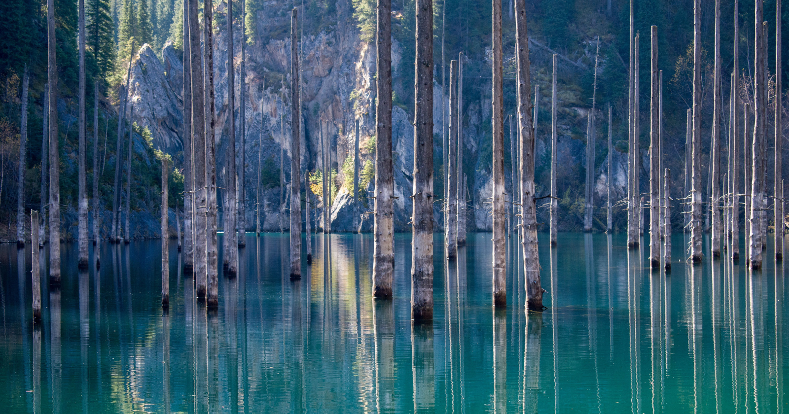 In the mountains of Kazakhstan lies a forest frozen beneath a turquoise lake — drowned more than a century ago when an earthquake reshaped the valley, leaving hundreds of ghostly tree trunks still standing upright in the water.