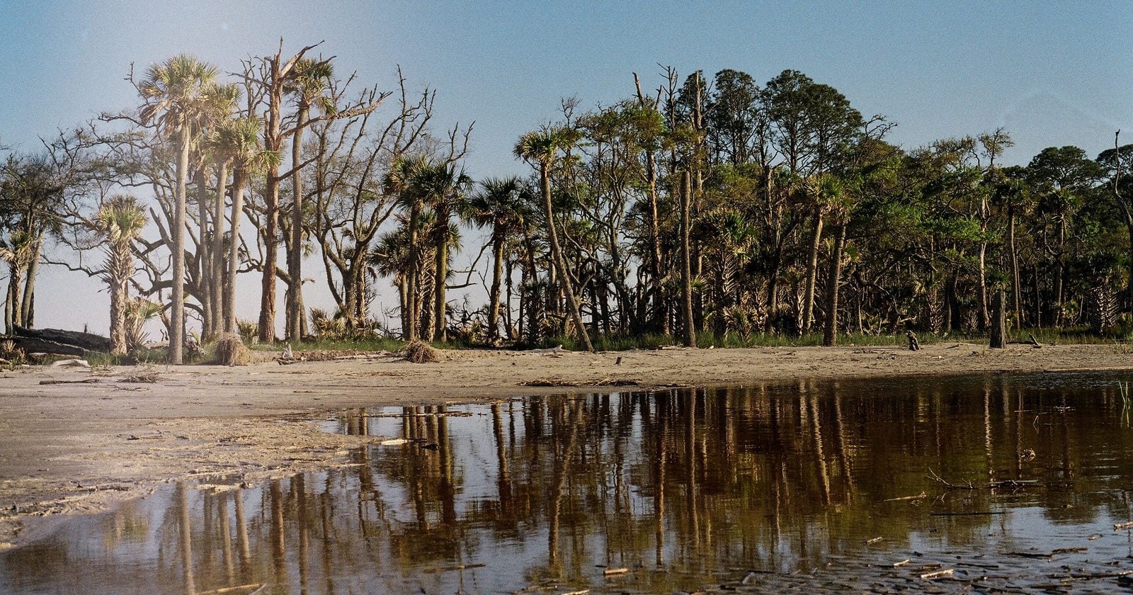 In 1978, Eleanor “Sandy” West and her family sold Georgia’s 26,000-acre Ossabaw Island to the state for half its appraised value while retaining the right to use the family home for the rest of her life; she lived on the island until 2016, died at 108 in 2021, and the preservation agreement still prohibits a bridge or causeway to the mainland.