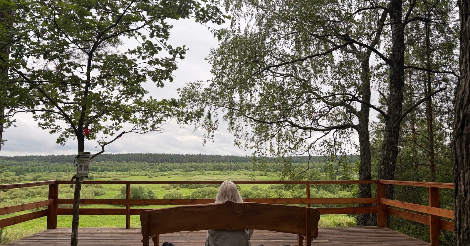 We treat enjoying our life as the reward for finishing everything else — Alan Watts thought that was the whole mistake, and that we're quietly cheating ourselves the whole time