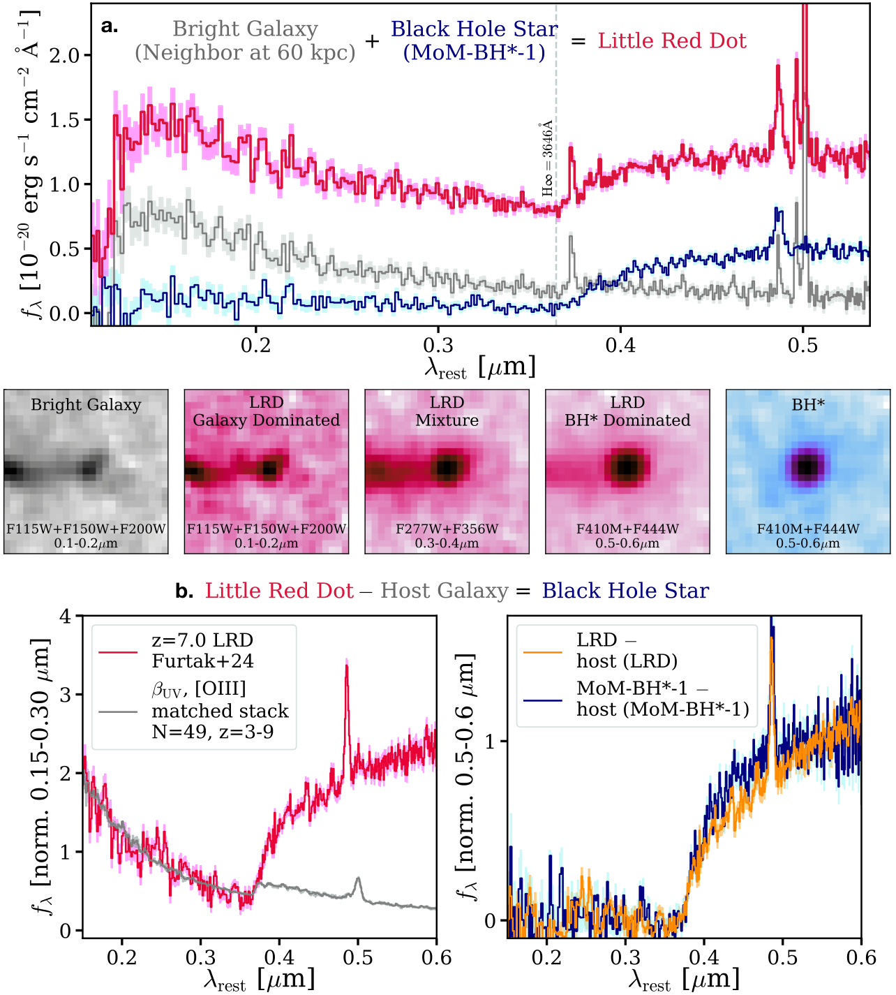 Astronomers reported a new kind of cosmic object in Nature on 12 August 2026: a “black hole star” roughly the scale of a solar system, whose star-like envelope is powered not by nuclear fusion but by a feeding black hole. The discovery may finally explain the hundreds of mysterious Little Red Dots JWST has been finding throughout the early universe.