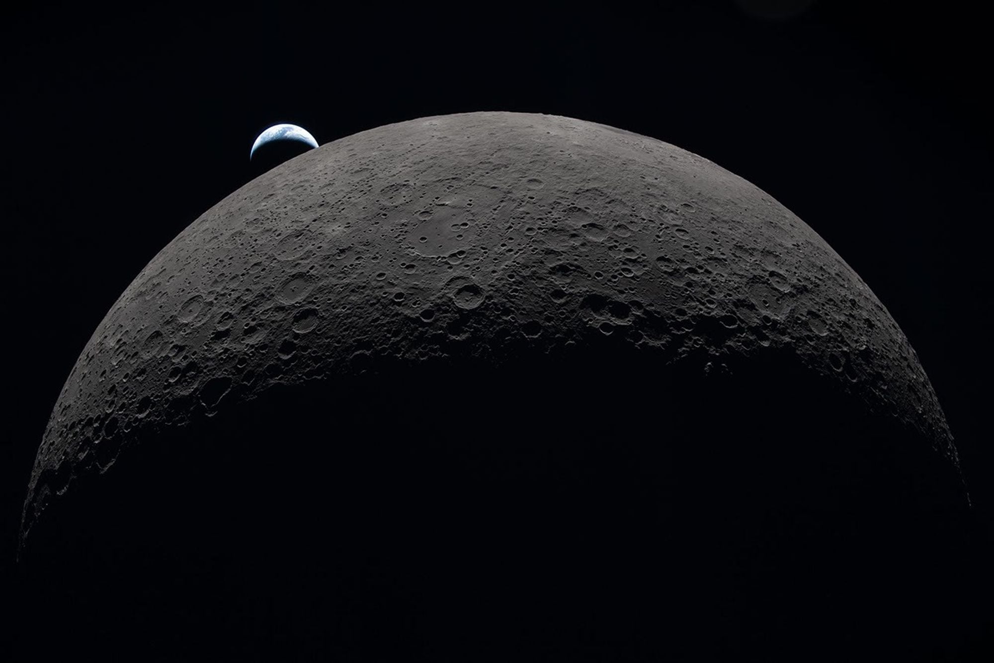 A black fungus that thrives in damp bathrooms and has been found aboard the ISS was the toughest organism in NASA's new Moon-survival study — even outperforming a bacterium famous for being one of the most radiation-resistant lifeforms on Earth.