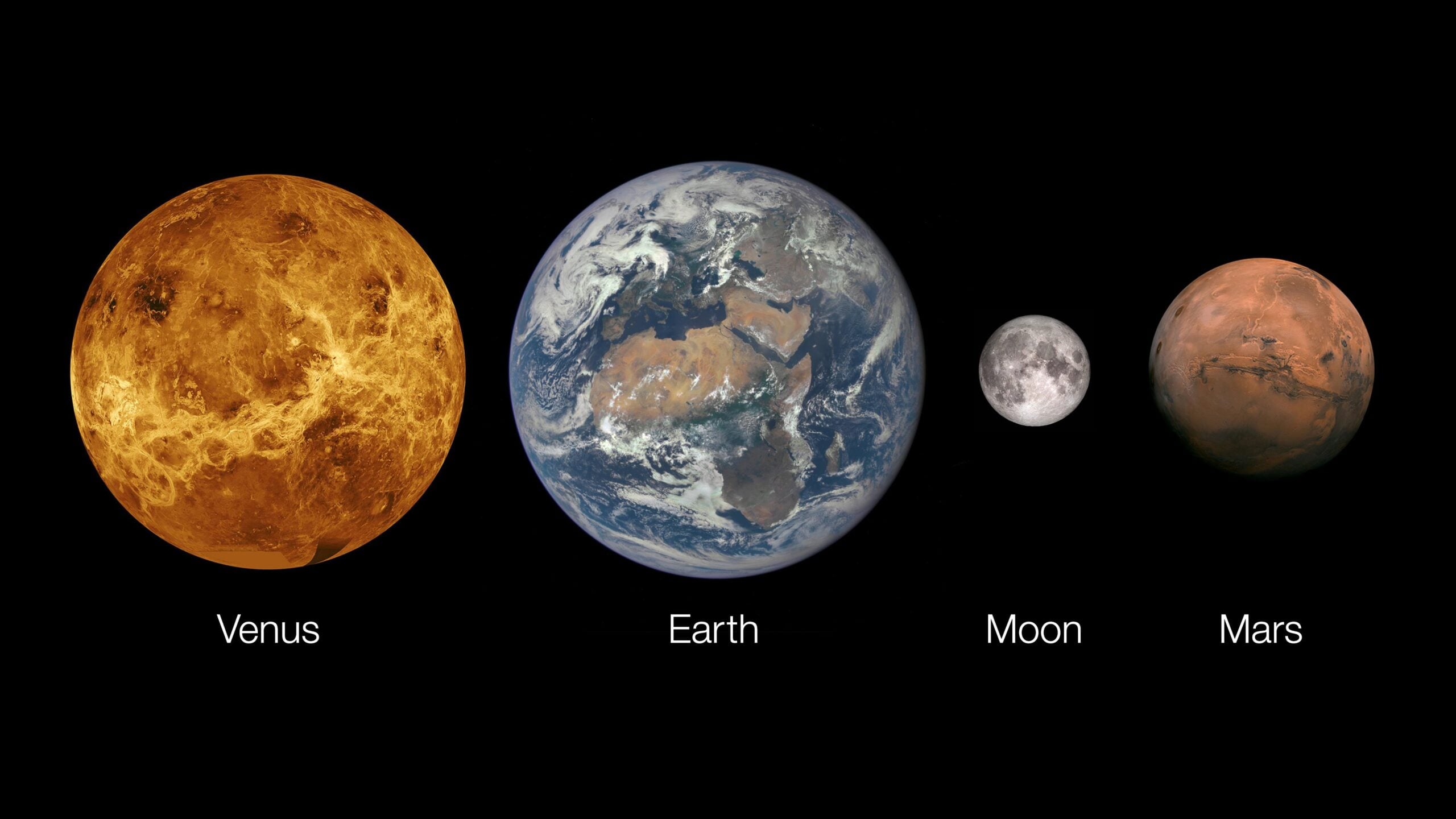 Mars is a frozen desert and Venus a 465-degree pressure cooker, yet both atmospheres are about 96% carbon dioxide—and because neither planet has a global magnetic field, both are still leaking atmospheric particles into space under the solar wind’s assault.
