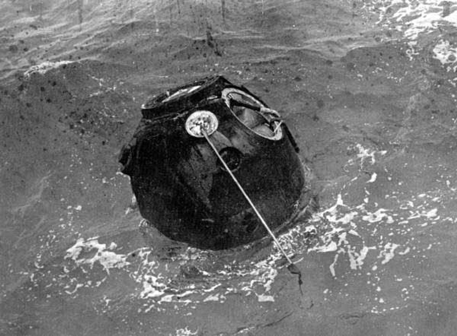 The first animals to circle the Moon weren't astronauts—they were two Central Asian steppe tortoises aboard the Soviet Zond 5, which beat Apollo 8 by three months in 1968. They returned alive after the week-long journey, having lost only about 10% of their body weight.
