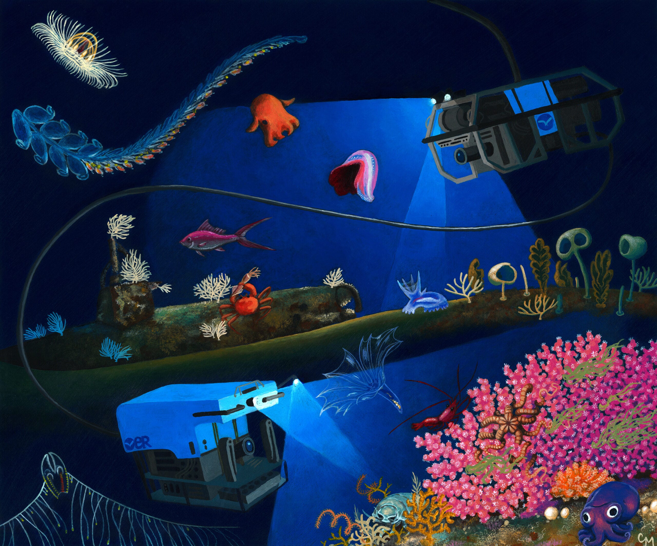 Scientists estimate that even with 1,000 deep-sea vehicles each visually surveying about three square kilometres of seafloor per year—the current average rate—it would take more than 100,000 years to visually observe the entire deep seafloor once. So far, humans have directly seen less than 0.001% of it.
