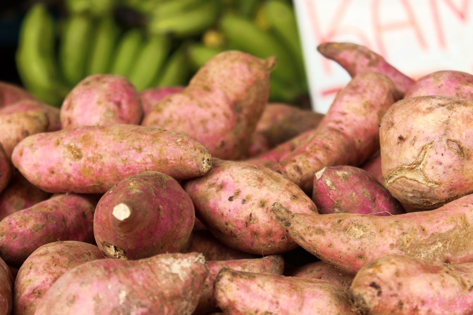 Okinawan purple sweet potato