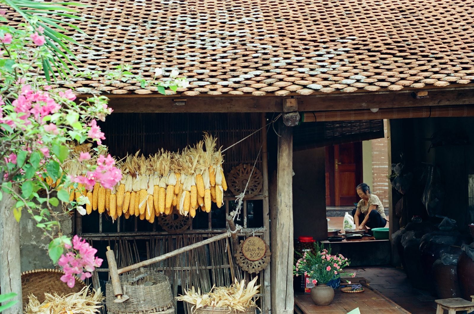 Okinawan village elderly