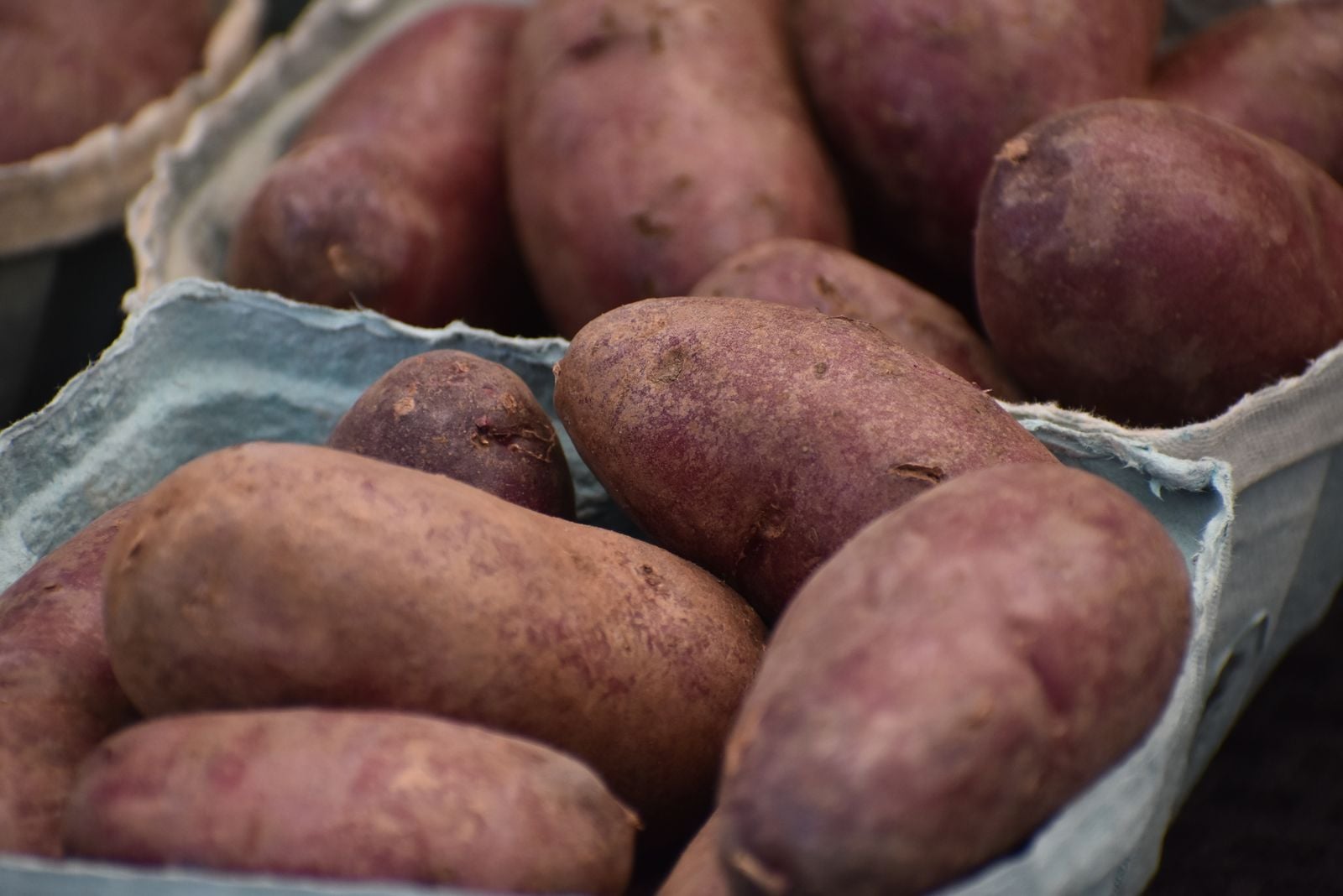 On the Japanese island of Okinawa, a cluster of villages produced so many people who lived past 100 that researchers spent decades studying their diet and eventually traced part of the effect to a purple sweet potato that supplied roughly 60 percent of daily calories through the first half of the twentieth century