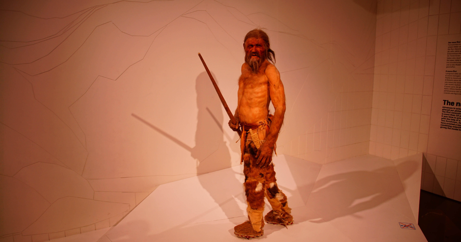 Ötzi the Iceman has been frozen for 5,300 years and kept in a chilled room at minus six for the last thirty. Scientists just checked him over properly and found things living on him — some of which appear to have been there the whole time