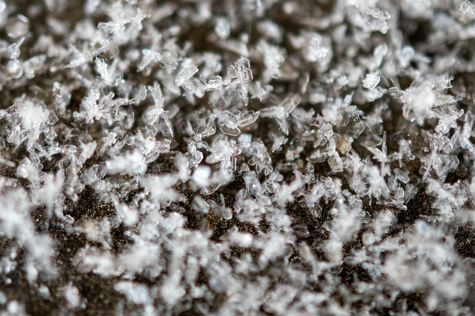 silicon carbide grain microscope