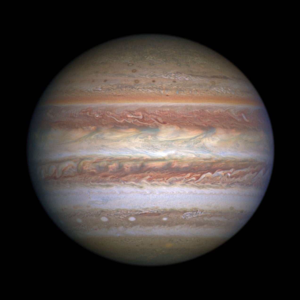 In 1976, Carl Sagan and astrophysicist Edwin Salpeter published a peer-reviewed paper proposing that Jupiter's atmosphere might support an entire aerial ecosystem — sinking microorganisms, buoyant “floaters” potentially kilometres across, and mobile “hunters” that preyed on them — living their entire lives in a world with no solid surface below.