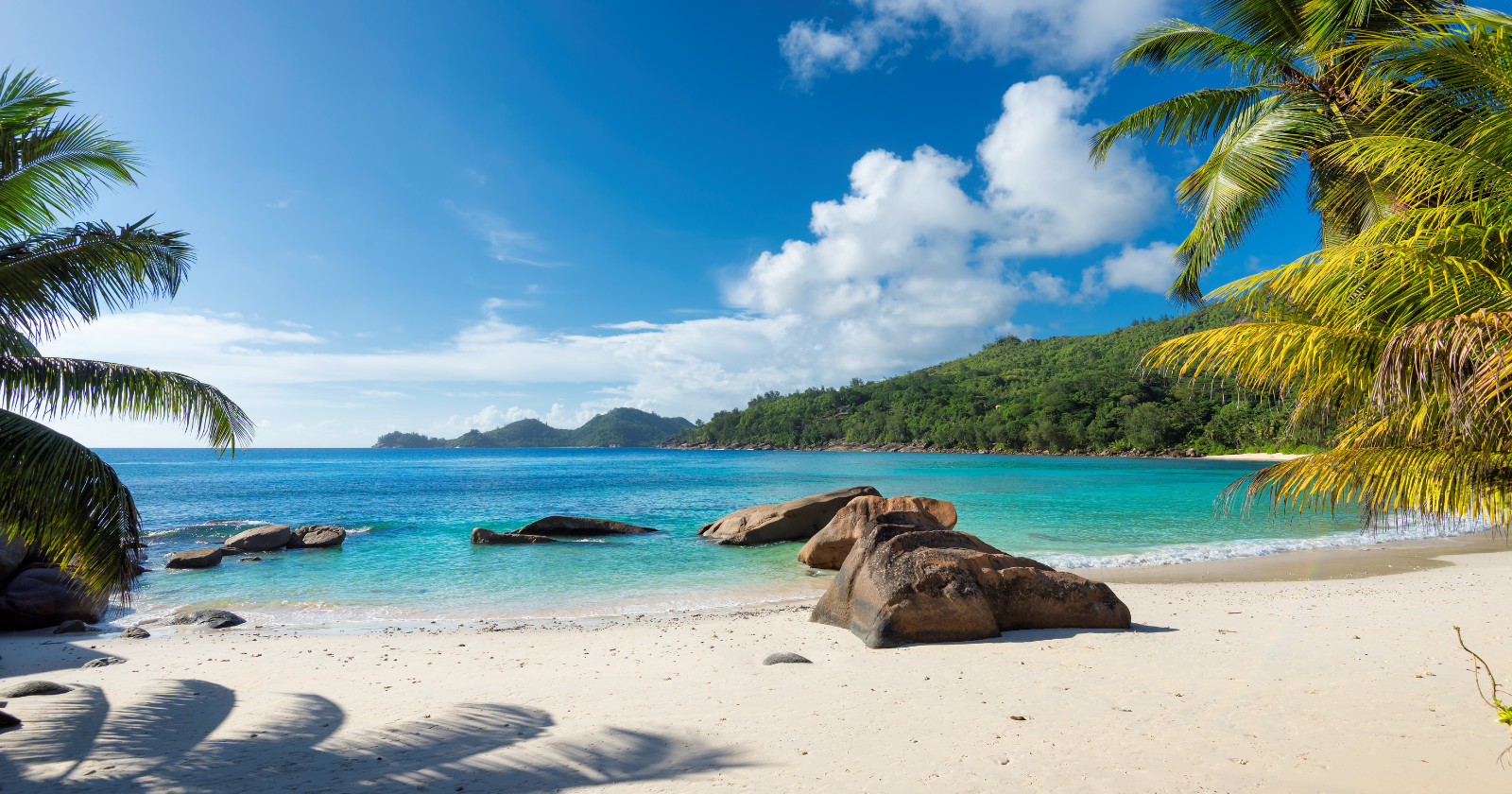 In 2008, thieves stole an entire beach in Jamaica overnight. Roughly 500 dump-truck loads of white Caribbean sand, worth around a million dollars, were dug up and hauled away from a resort site in the dark, and despite an investigation involving death threats and a helicopter chase, not a single grain was ever recovered