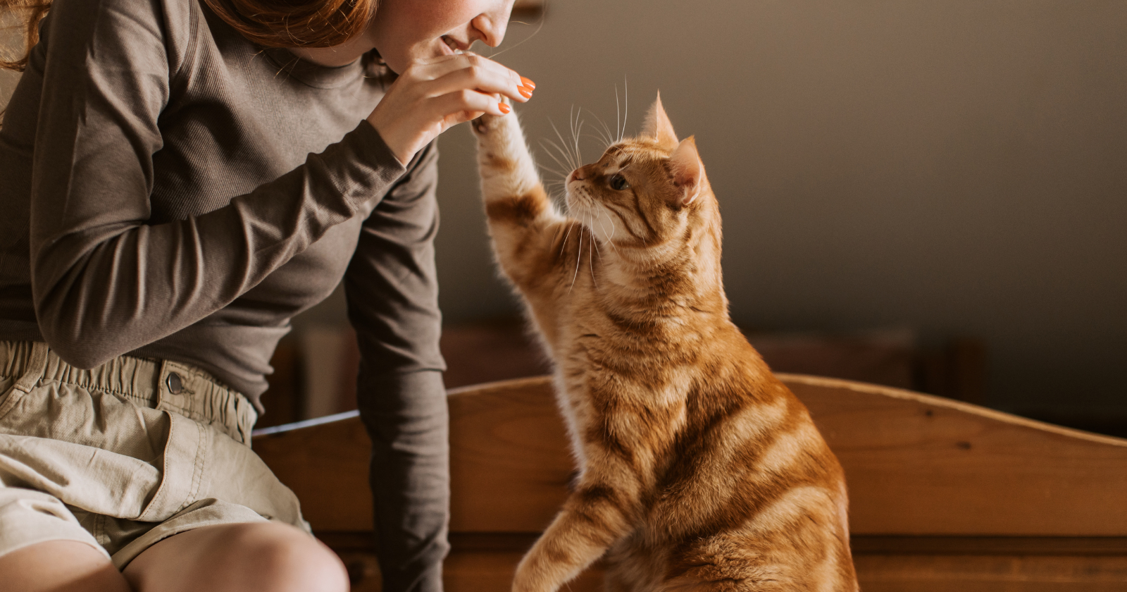 A single-celled parasite carried by cats, Toxoplasma gondii, infects an estimated third of all people on Earth, forms tiny cysts in the human brain, and in rodents famously rewires them to lose their fear of cats, and mounting research links it in humans to raised dopamine, greater risk-taking, and impulsivity.