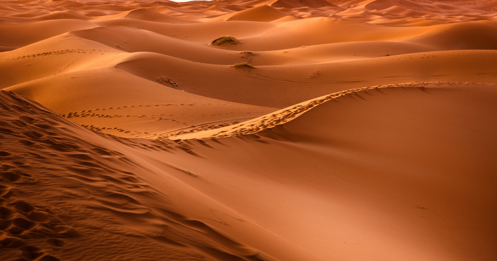 The reason sand is yellow, white, black, pink, green, or red comes down entirely to what the land or the sea nearby is made of, and the colour of any beach is really a fingerprint of the geology that made it.